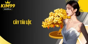 Cây Tài Lộc - Nổ Hũ Liền Tay, Trúng Lộc Ngay Lập Tức
