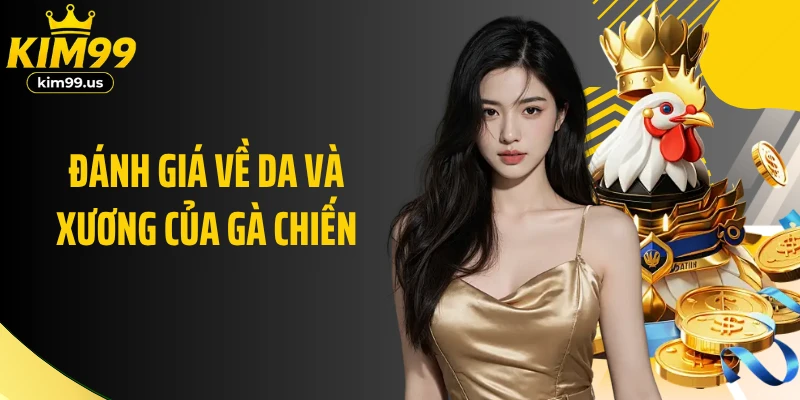 Đánh giá về da và xương của gà chiến