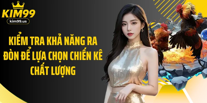 Kiểm tra khả năng ra đòn để lựa chọn chiến kê chất lượng