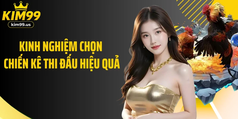 Kinh nghiệm chọn chiến kê thi đấu hiệu quả