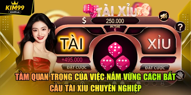Tầm quan trọng của việc nắm vững cách bắt cầu tài xỉu chuyên nghiệp